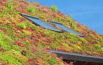 Langley Green living roof systems