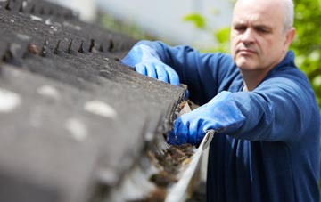 cleaning and inspecting Langley Green roofs